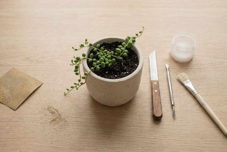 A finished clay plant pot with a small trailing plant on a pale oak table